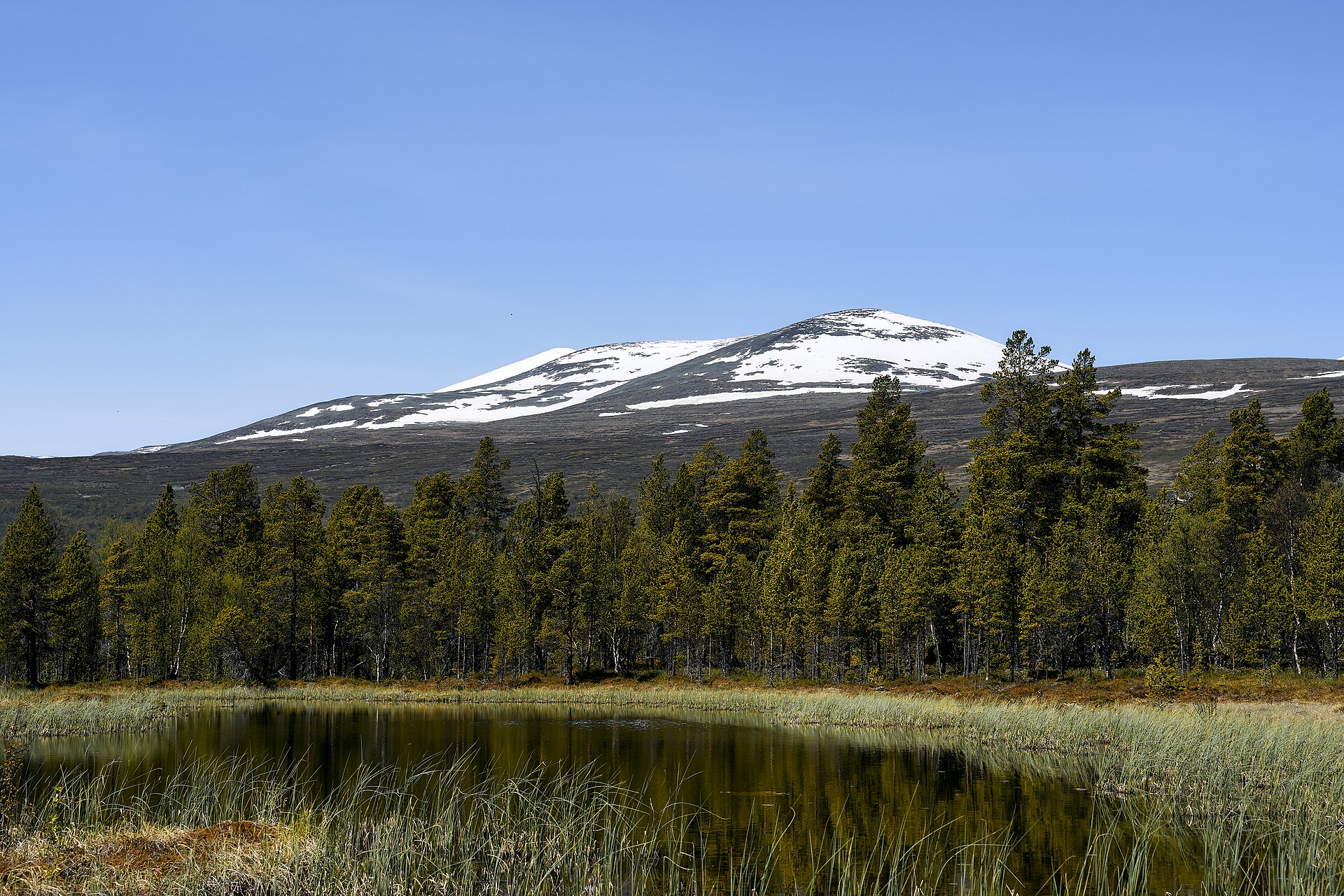 Valdresflye